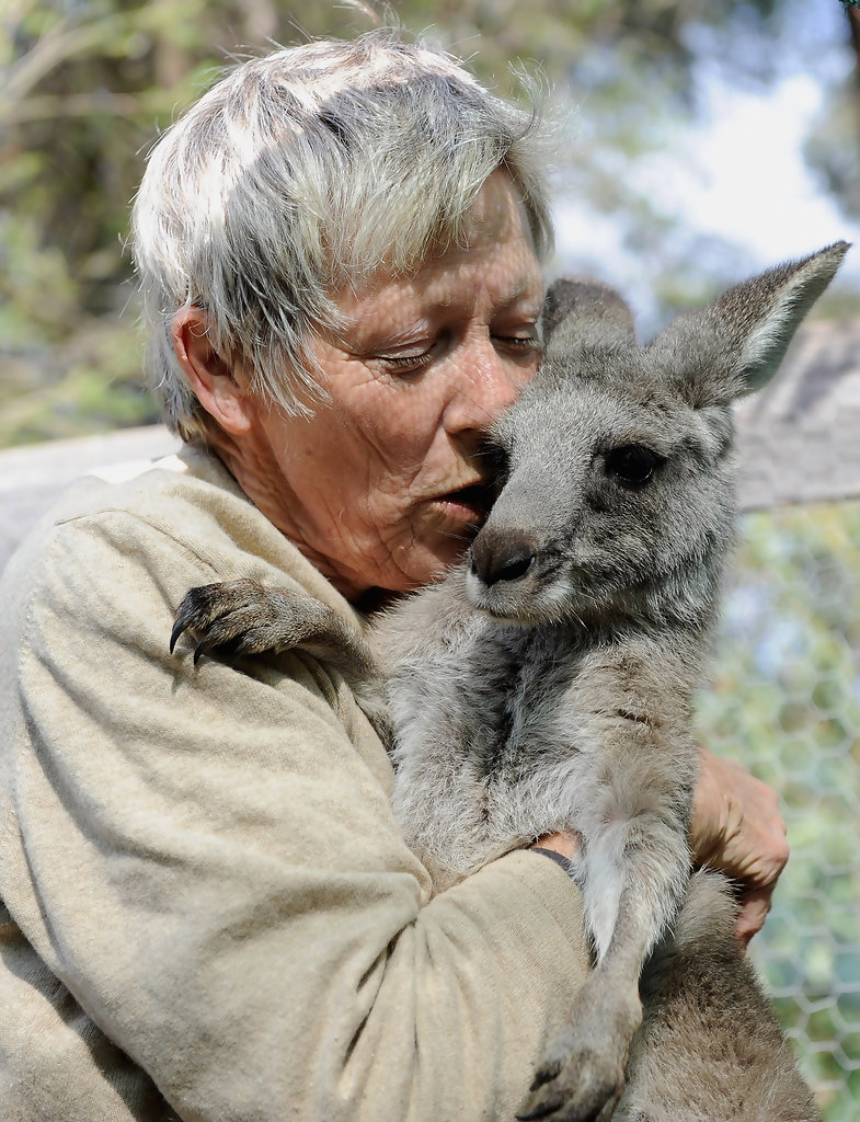 Kangaroos - Human 04