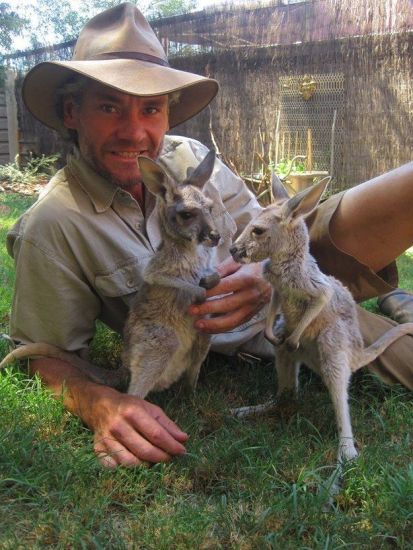 Kangaroos - Human 07