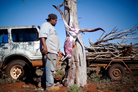 Kangaroo, Goana, and Emu hunting with Winston, Shane, and Bradley Stokes. Dinner at Winston Stokes' house with family.