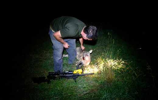 Kangaroo shooter Steven O'Donnell prepares to tag a kangaroo he recently shot next to his .223 calibre rifle in a paddock on a property located on the outskirts of Australia's capital city Canberra March 23, 2013. O'Donnell, a professional plumber, shoots kangaroos on local farmer's properties around three times a week as part of the annual cull, running from March until the end of July, which involves the legal shooting and tagging of thousands of eastern grey kangaroos per year in the Australian Capital Territory. Picture taken March 23, 2013. REUTERS/David Gray (AUSTRALIA)
