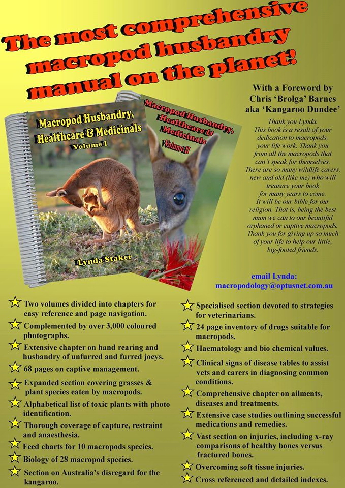 Misc - Kangaroos book