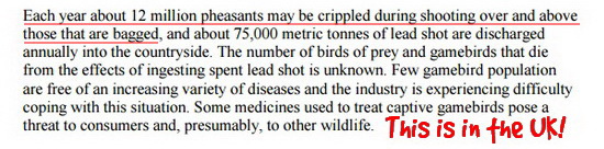 Trophy hunters - Birds 2a