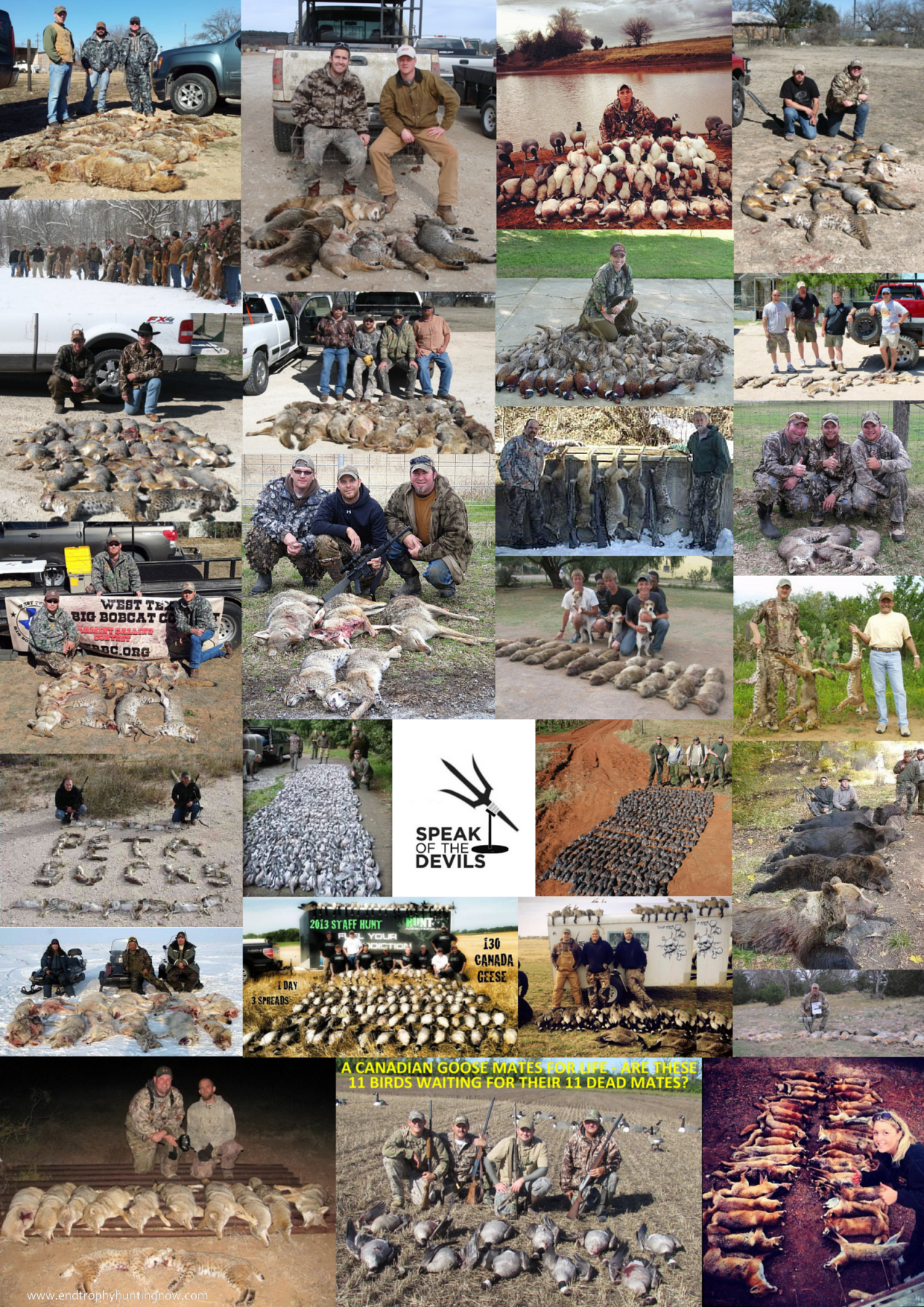 Trophy hunters - Comp Bodies hunters