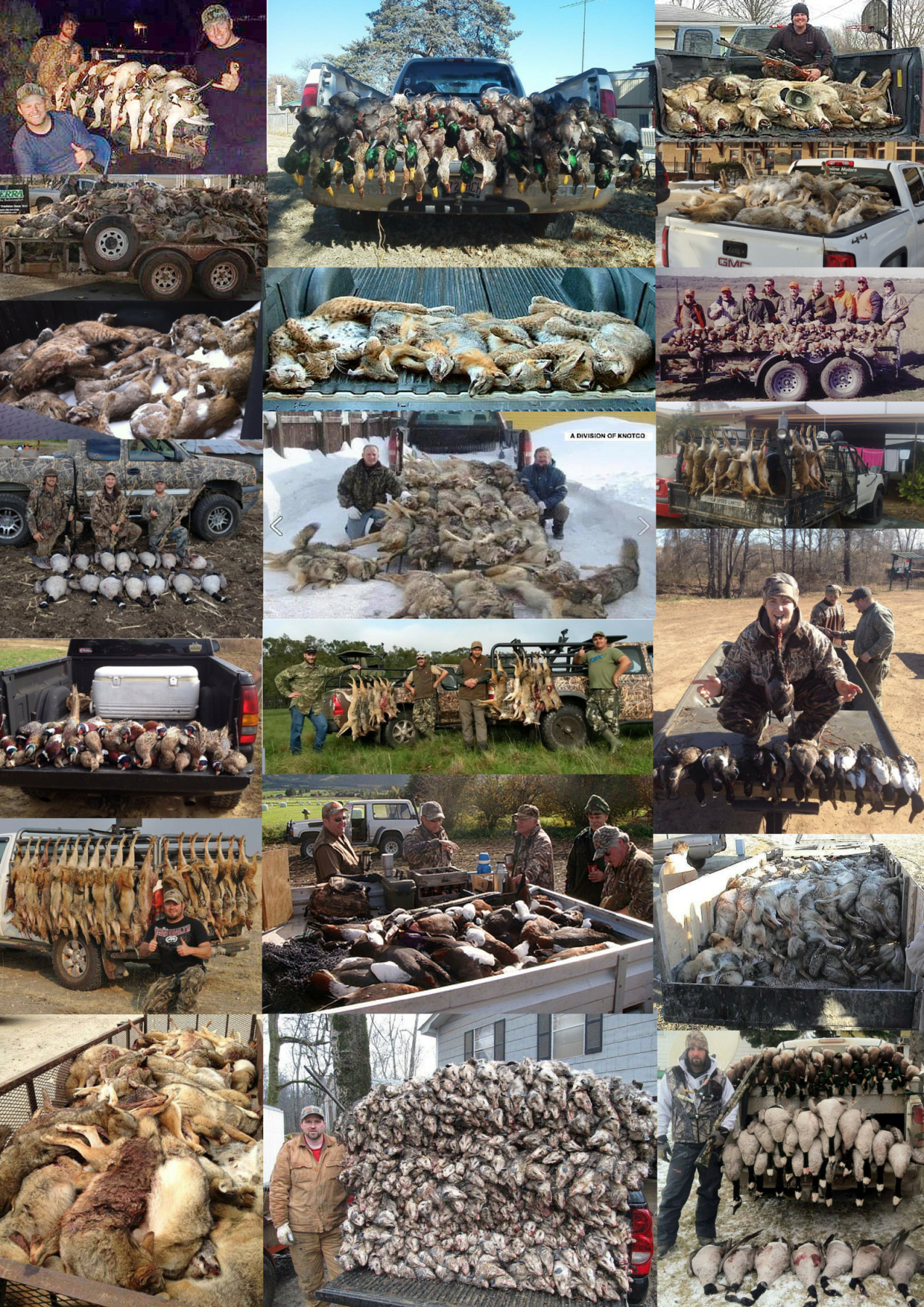 Trophy hunters - Comp Varminting vehicles